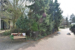 2014_weltglueckstag2